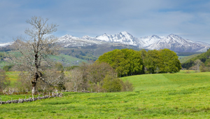 Remorquage voiture Mont-de-Marsan